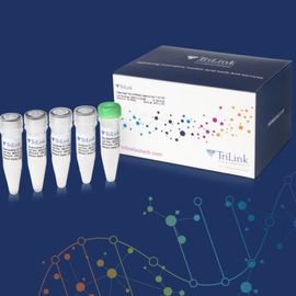 TriLink CleanCap IVT kit with color-coded reagent vials and a branded product box on blue background with molecular graphics 