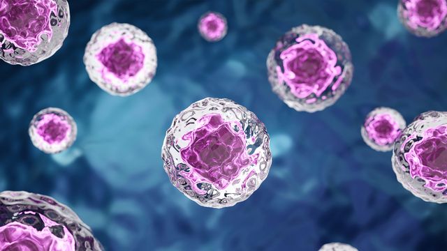 Single cells float against a dark background, illustrating optical 3D imaging of suspended cells. 