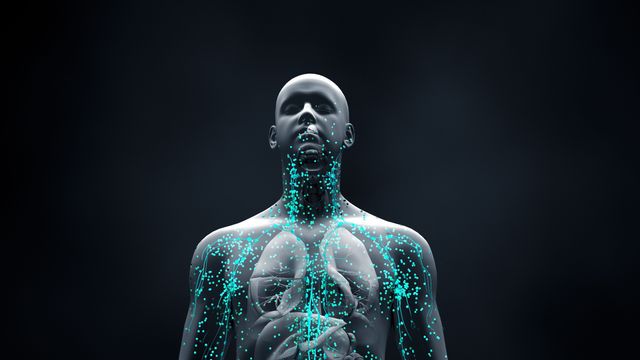 Digital illustration of a human torso highlighting immune cells and respiratory anatomy, representing single-cell transcriptomics.
