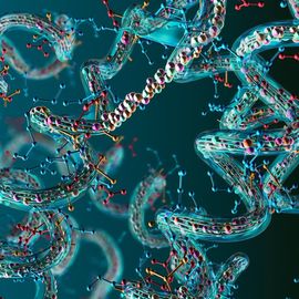 3D molecular structure showing protein fragments. 